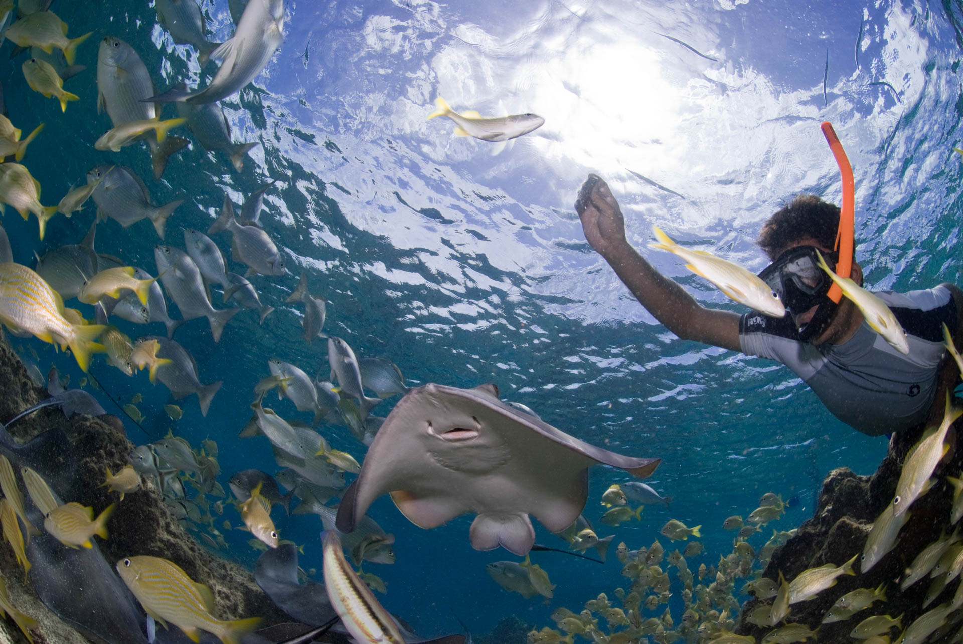 Encounter and revel with the famous biodiversity of Cozumel